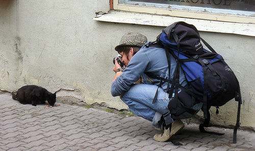 budget backpacker small A man taking a photo of a street cat eating